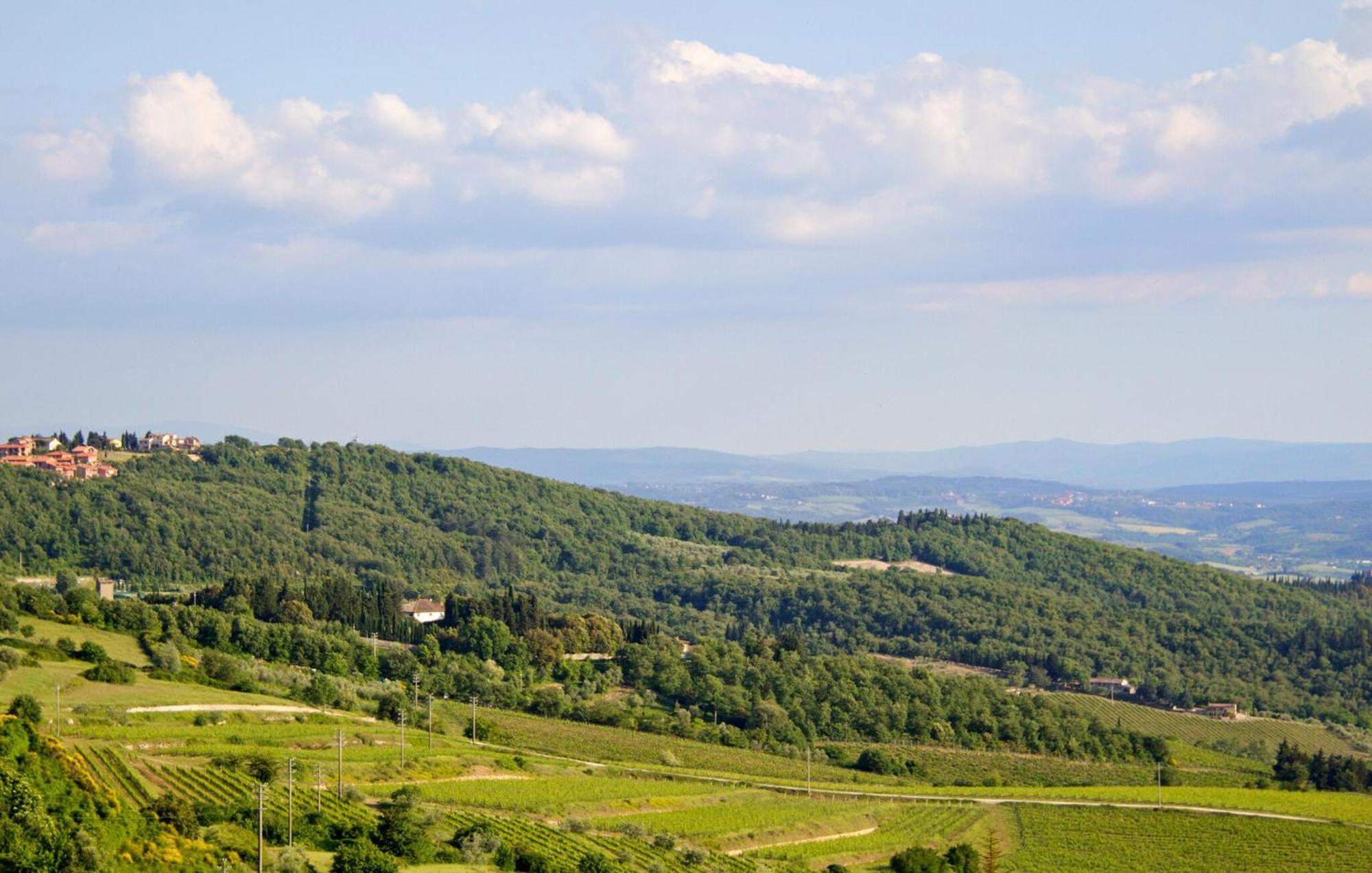 Galletto Nero Panzano in Chianti Luaran gambar